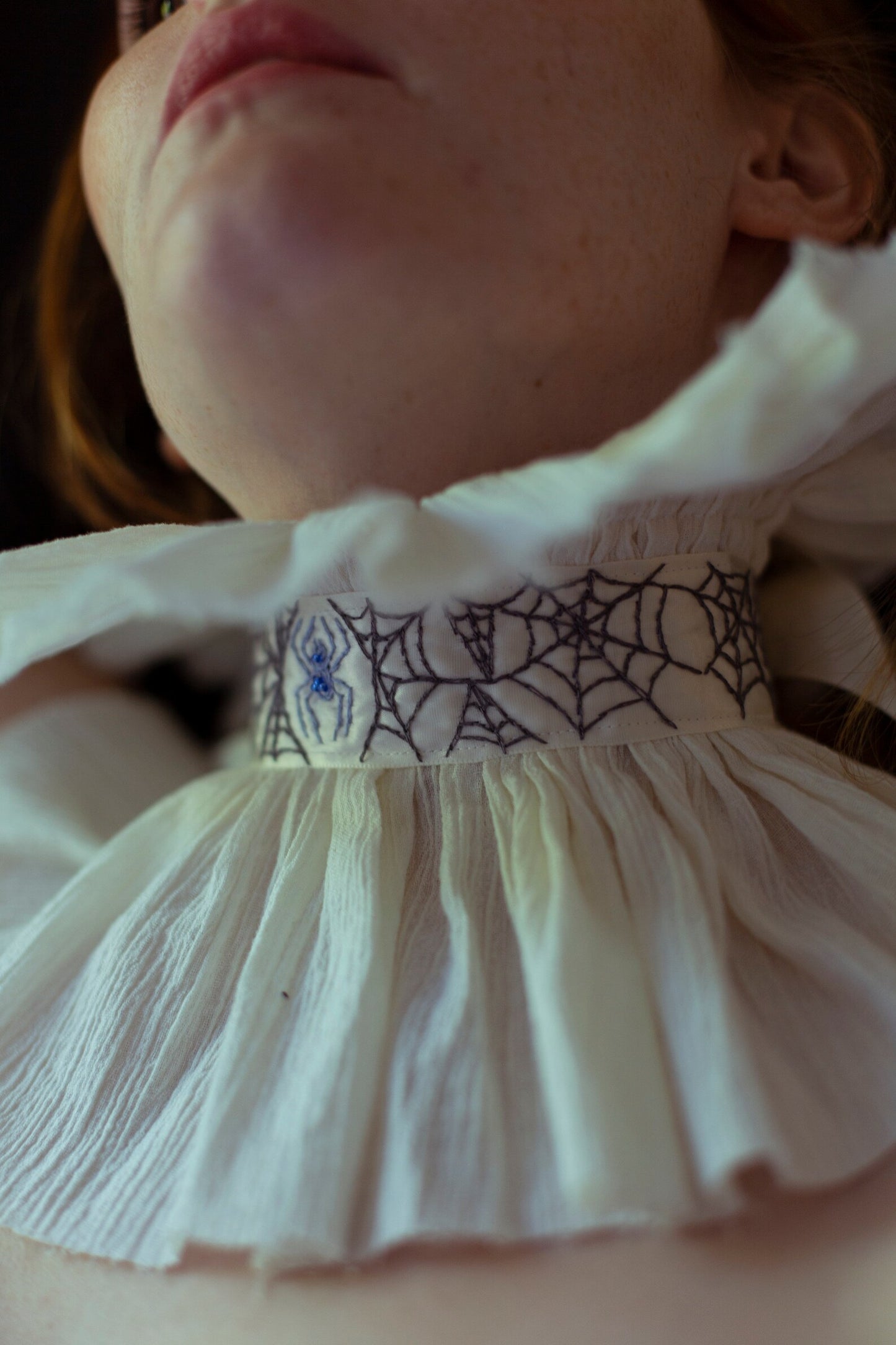 Victorian Spiders Embroidered Collar