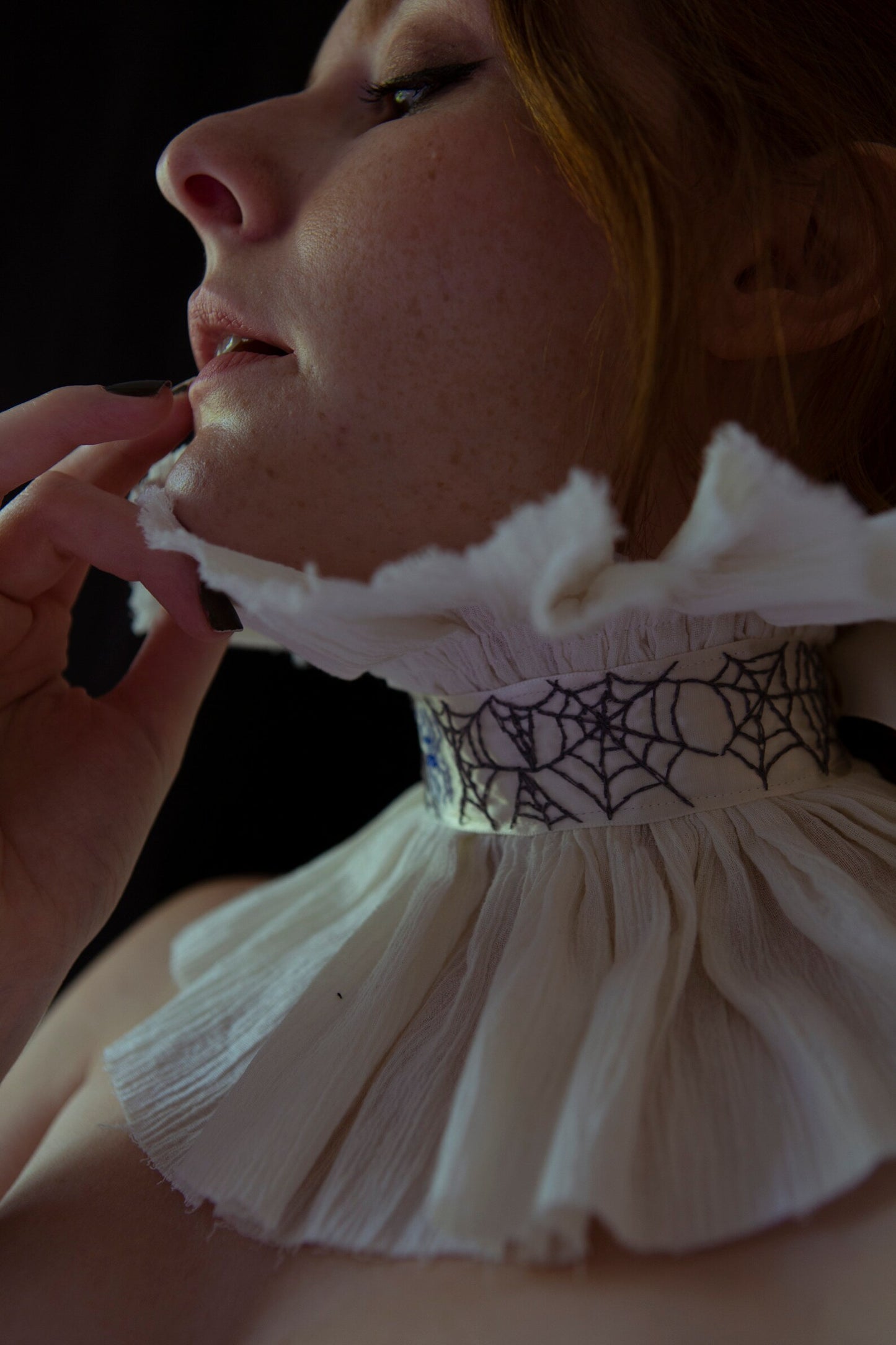 Victorian Spiders Embroidered Collar